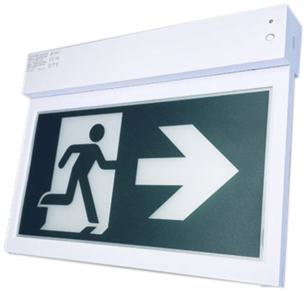 AP-Notleuchte LED 3.5W inkl. 3 Piktogramme WM/DM
